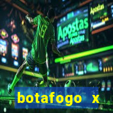 botafogo x palmeiras futmax